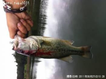 ¥Ö¥é¥Ã¥¯¥Ð¥¹