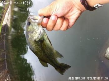 ¥Ö¥é¥Ã¥¯¥Ð¥¹