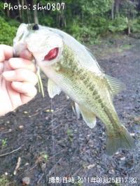 �֥�å��Х�