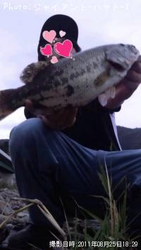 ¥Ö¥é¥Ã¥¯¥Ð¥¹