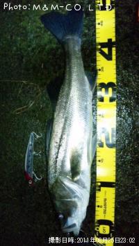 �����Х�