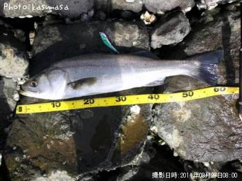 �����Х�