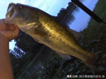 ¥Ö¥é¥Ã¥¯¥Ð¥¹