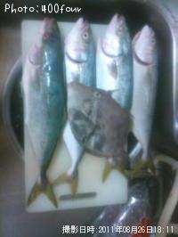 �狼���ȥ���ϥ���