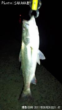 �����Х�