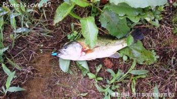 �֥�å��Х�