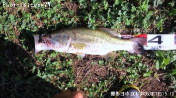 ¥Ö¥é¥Ã¥¯¥Ð¥¹