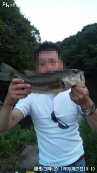 �֥�å��Х�