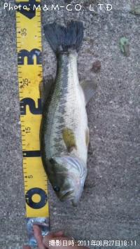 �֥�å��Х�