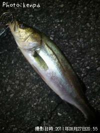 �����Х�