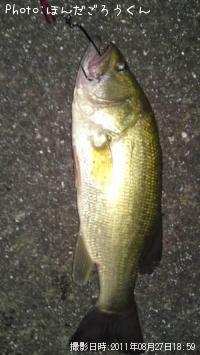 �֥�å��Х�