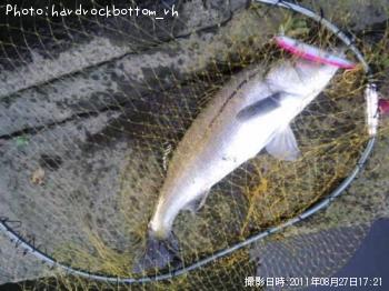 �����Х�