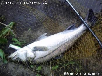 �����Х�