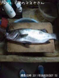 �����Х��ʥҥ��