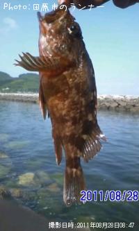 �����Υ���Х�