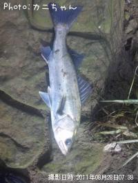 �����Х�