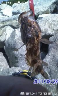 �����Υ���Х�