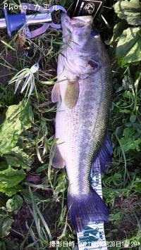 �֥�å��Х�