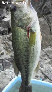 ¥Ö¥é¥Ã¥¯¥Ð¥¹