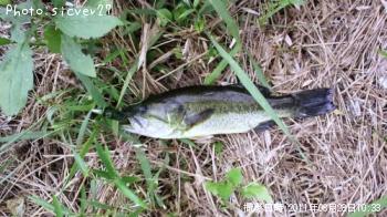 ¥Ö¥é¥Ã¥¯¥Ð¥¹