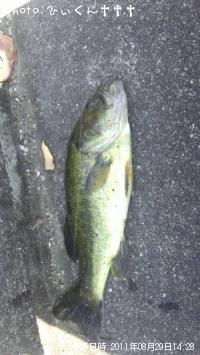 �֥�å��Х�