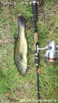 �֥�å��Х�