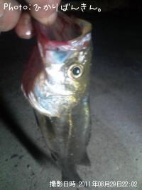 �����Х�