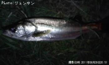 �����Х�