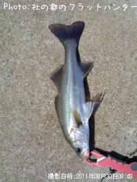 �����Х�