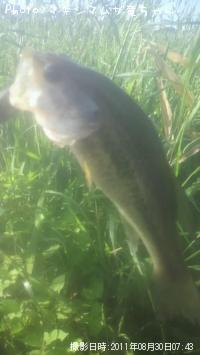 ¥Ö¥é¥Ã¥¯¥Ð¥¹