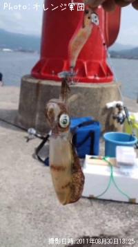 ¥¢¥ª¥ê¥¤¥«