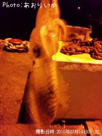 ¥¢¥ª¥ê¥¤¥«