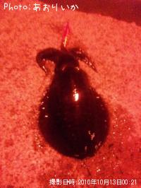 �����ꥤ��