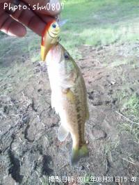 ¥Ö¥é¥Ã¥¯¥Ð¥¹