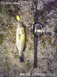 ¥Ö¥é¥Ã¥¯¥Ð¥¹