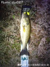 ¥Ö¥é¥Ã¥¯¥Ð¥¹