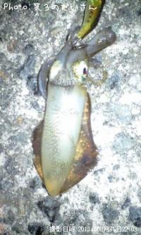 �����ꥤ��