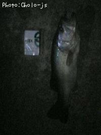 �֥�å��Х�