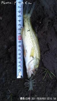 �֥�å��Х�