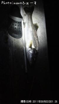 �����Х�