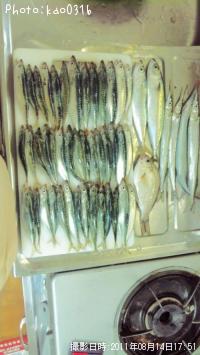 ¾®¥µ¥Ð¡¢¥µ¥è¥ê¡¢¥¿¥Ê¥´