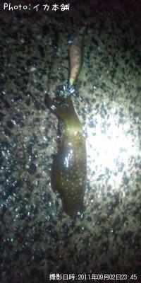 �����ꥤ��