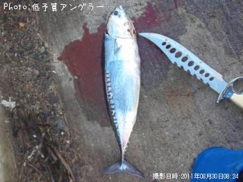 ���������ĥ�