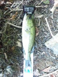 �֥�å��Х�