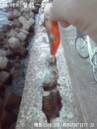 �����ꥤ��