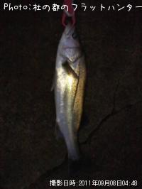 �����Х�