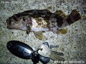 ¥¿¥±¥Î¥³¥á¥Ð¥ë