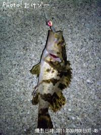 �����Υ���Х�