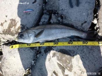 �����Х�