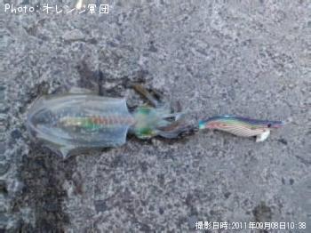 �����ꥤ��